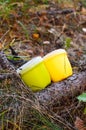 Camping utensils for picnic in the forest. Two mugs with lids for drinking tea and coffee on a hike Royalty Free Stock Photo