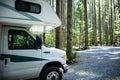 Camping in Vancouver Island, British Columbia: impressively tall tress, douglas firs, in the camping grounds