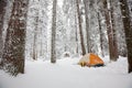 Camping during winter hiking in Carpathian mountains Royalty Free Stock Photo