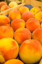 Campo Dei Fiory Market Peaches- Rome#8 Royalty Free Stock Photo