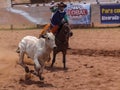 Owboys mounted on Quarter Horses prepare for the lasso test on a dirt track