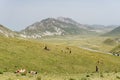 Campo Imperatore