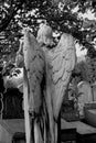 Campo Santo, Sint-Amandsberg, Belgium: black and white angel wings on historic cemetery