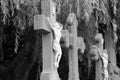 Campo Santo, Sint-Amandsberg, Belgium: historic cemetery row of crosses