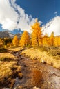 Campo valley - Graubnden CH - autumn Royalty Free Stock Photo