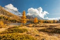 Campo valley - Graubnden CH - autumn Royalty Free Stock Photo