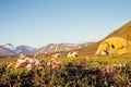 Campsite at Alftavatn, Iceland Royalty Free Stock Photo