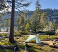 Campsite Along Shore of Lake Vernon