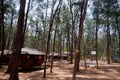 The Campsite of Balai Resort Anawangin Cove
