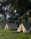 A campsite in a beautiful green forrest with big trees. Tents in camping area