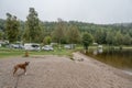 campsite camping caravan by lake Ragnerudssjoen in Dalsland Sweden beautiful nature forest pinetree Royalty Free Stock Photo