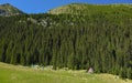 Campsite for hikers Royalty Free Stock Photo