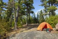 Campsite with orange tent below big pines and blue sky on sunny afternoon in northern Minnesota