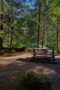 Campsite with picnic table and firepit, Strathcona Provincial Park, BC