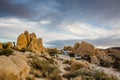 Campsites - White Tank Campground - Joshua Tree National Park Royalty Free Stock Photo