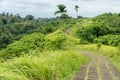 Campuhan Ridge Walk, picturesque stone footpath among meadows in Ubud, Bali, Indonesia