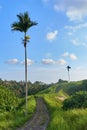 Campuhan Ridge Walk sacred trail, on Bali island