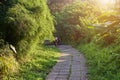 Campuhan Ridge Walk sacred trail, on Bali island