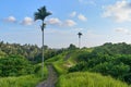 Campuhan Ridge Walk sacred trail, on Bali island