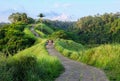 Campuhan Ridge Walk Sunset , Scenic Green Valley in Ubud Bali