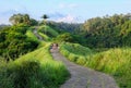 Campuhan Ridge Walk at Sunset