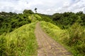 Campuhan Ridge Walk in Ubud in Bali