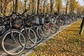 Campus bicycles in autumn