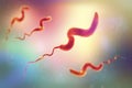 Campylobacter bacteria, 3D illustration. Royalty Free Stock Photo