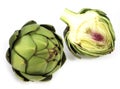 Camus Artichoke, cynara scolymus, Vegetable against White Background