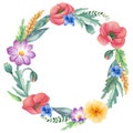 Watercolor floral wreath with summer flowers: poppy, harebell, Californian poppy, wheat, green leaves, cosmos flower.