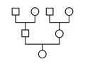 Genogram. Family tree chart. Simple diagram showing family members. Genealogy tree structure. Royalty Free Stock Photo