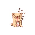 Cute pug dog enjoys refreshing soda drink.