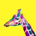 Colorful geometric girrafe pop art portrait