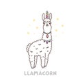 Cute llama in a unicorn costume. Llamacorn - funny puns, unicorn and llama.