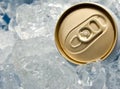 Can of beer in ice