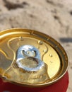 Can of beer very cold. Water drops and ice on a cans of beer. Royalty Free Stock Photo