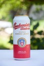 A can of Budweiser beer on a nature background. Royalty Free Stock Photo