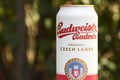 A can of Budweiser beer on a nature background. Royalty Free Stock Photo