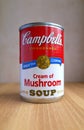 Can of Campbell`s Cream of Mushroom Soup in Natural Light