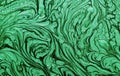 Green swirls of paint. Royalty Free Stock Photo