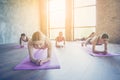 We can do it! Abs plank exercise. Five concentrated sporty girls Royalty Free Stock Photo