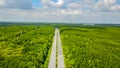 Can Gio mangrove forest in Ho Chi Minh city, Vietnam