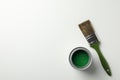 Can of green paint and brush on white background Royalty Free Stock Photo