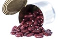 Can with Kidney Beans (on white) Royalty Free Stock Photo