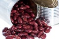 Can with Kidney Beans (on white) Royalty Free Stock Photo