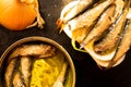 Can of sardines or sprats Royalty Free Stock Photo