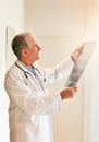 He can see it all clearly now. a mature doctor holding up an x-ray to examine it. Royalty Free Stock Photo