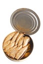 Can of sprats in oil isolated Royalty Free Stock Photo