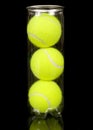 Can of Three New Tennis Balls Royalty Free Stock Photo