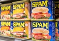 Can tins of Assorted SPAM meat